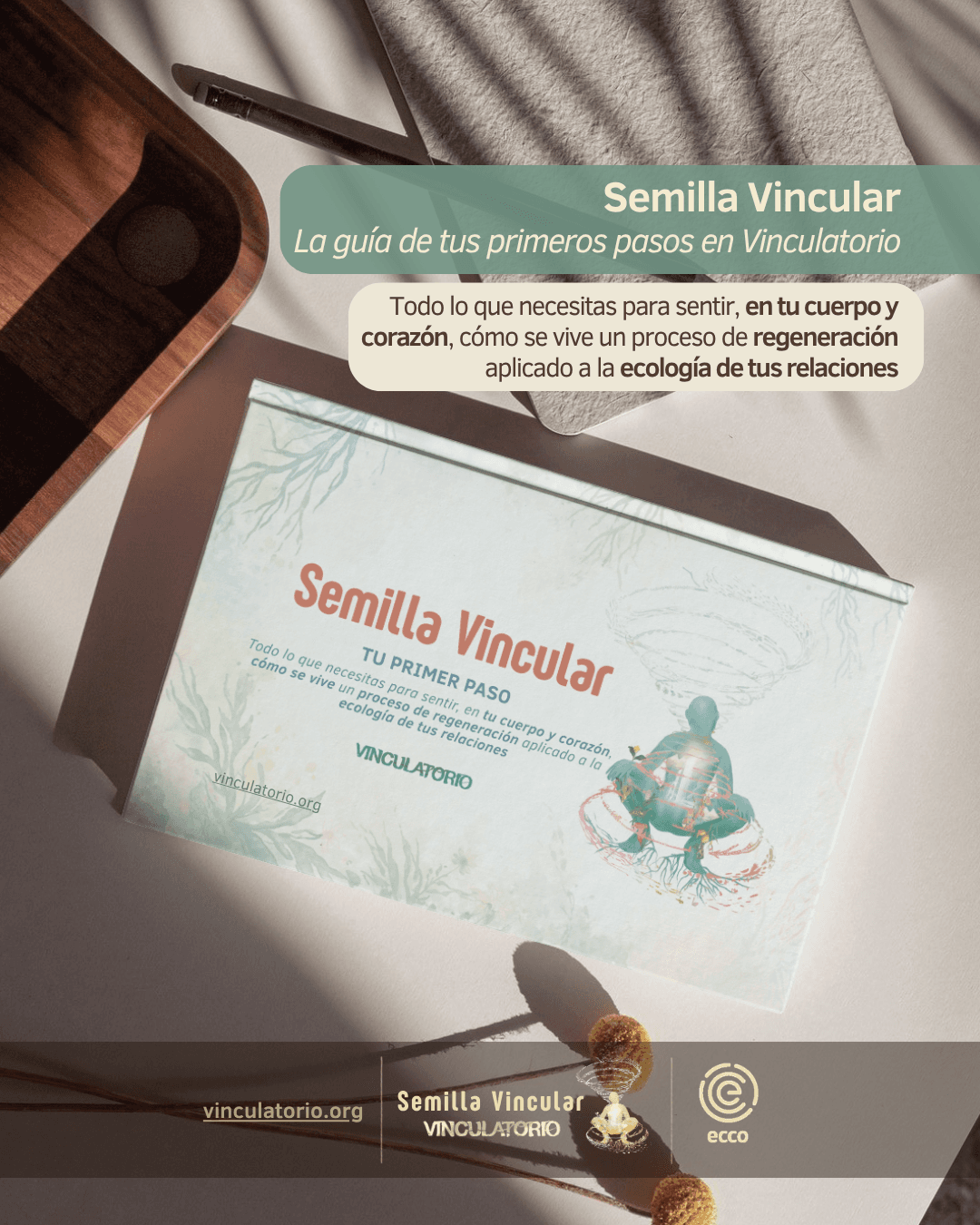 Semilla Vincular