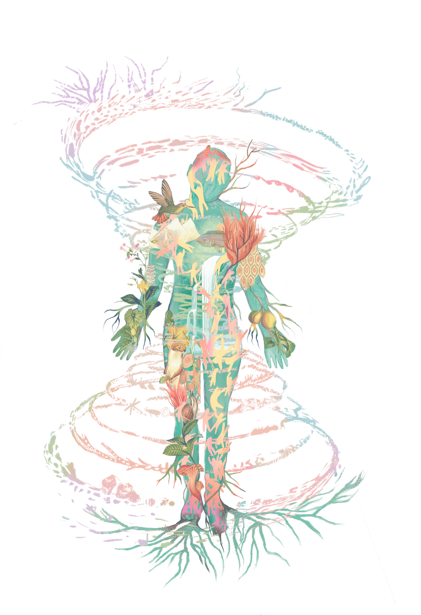 Figura humana con espiral de naturaleza representando la regeneración vincular