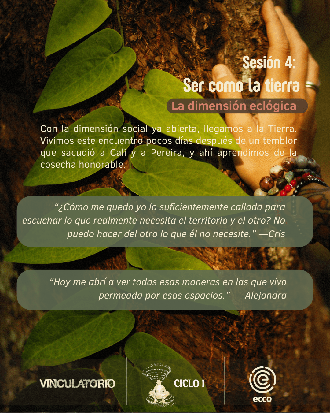 Recap Ciclo I — momento 5